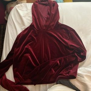 Velvet Cropped Hoodie